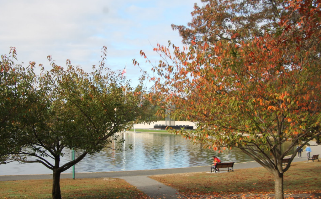 Eisenhower Park